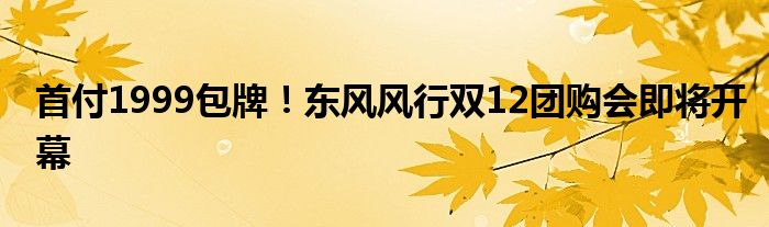 首付1999包牌！东风风行双12团购会即将开幕