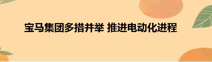 宝马集团多措并举 推进电动化进程