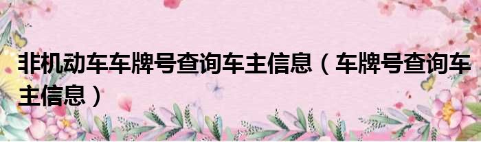 非机动车车牌号查询车主信息（车牌号查询车主信息）