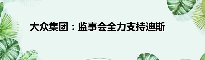 大众集团：监事会全力支持迪斯