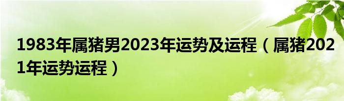 1983年属猪男2023年运势及运程（属猪2021年运势运程）