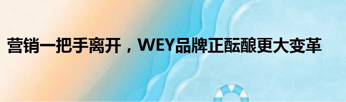 营销一把手离开 WEY品牌正酝酿更大变革