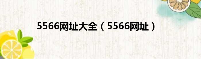 5566网址大全（5566网址）