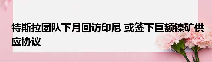 特斯拉团队下月回访印尼 或签下巨额镍矿供应协议