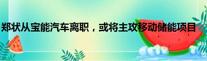 郑状从宝能汽车离职 或将主攻移动储能项目