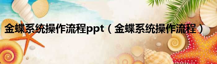 金蝶系统操作流程ppt（金蝶系统操作流程）