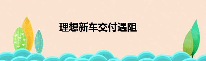 理想新车交付遇阻