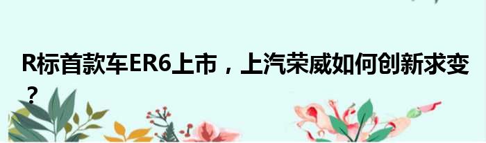 R标首款车ER6上市 上汽荣威如何创新求变？