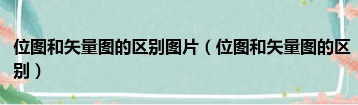 位图和矢量图的区别图片（位图和矢量图的区别）