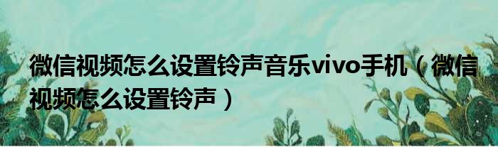 微信视频怎么设置铃声音乐vivo手机（微信视频怎么设置铃声）