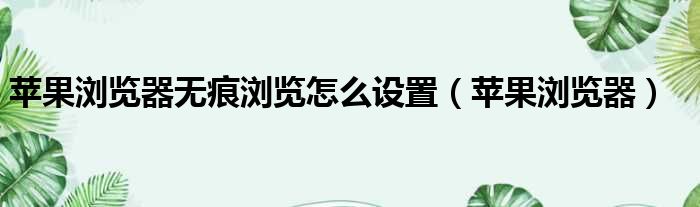 苹果浏览器无痕浏览怎么设置（苹果浏览器）