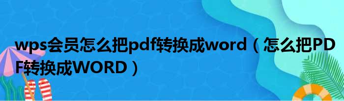 wps会员怎么把pdf转换成word（怎么把PDF转换成WORD）