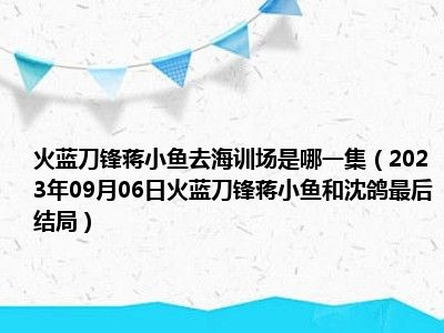 火蓝刀锋蒋小鱼去海训场是哪一集（2023年09月06日火蓝刀锋蒋小鱼和沈鸽最后结局）