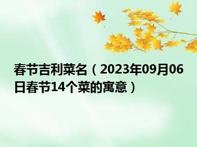 春节吉利菜名（2023年09月06日春节14个菜的寓意）