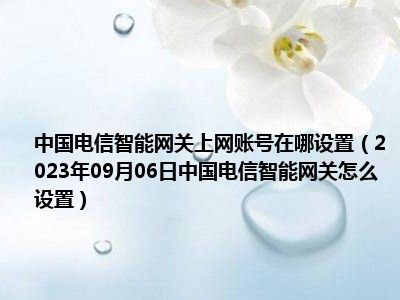 中国电信智能网关上网账号在哪设置（2023年09月06日中国电信智能网关怎么设置）