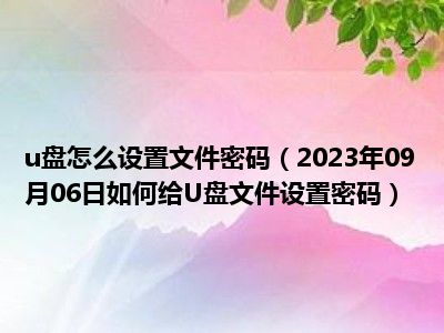 u盘怎么设置文件密码（2023年09月06日如何给U盘文件设置密码）