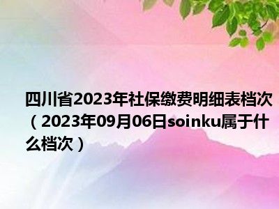 四川省2023年社保缴费明细表档次（2023年09月06日soinku属于什么档次）