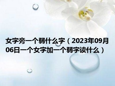 女字旁一个弱什么字（2023年09月06日一个女字加一个弱字读什么）