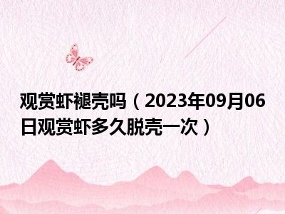 观赏虾褪壳吗（2023年09月06日观赏虾多久脱壳一次）