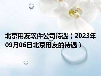 北京用友软件公司待遇（2023年09月06日北京用友的待遇）