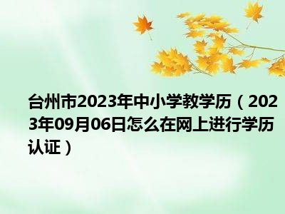 台州市2023年中小学教学历（2023年09月06日怎么在网上进行学历认证）