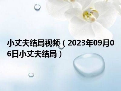 小丈夫结局视频（2023年09月06日小丈夫结局）