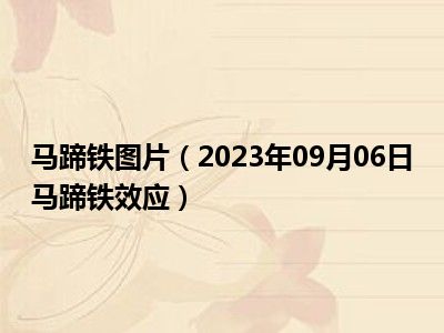 马蹄铁图片（2023年09月06日马蹄铁效应）