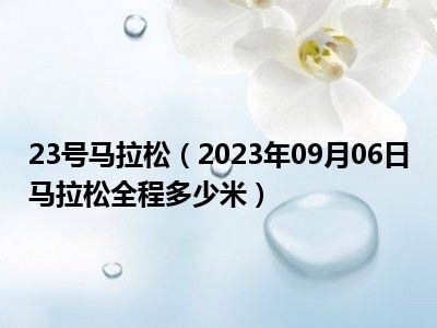 23号马拉松（2023年09月06日马拉松全程多少米）