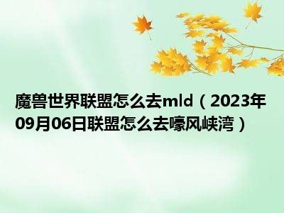 魔兽世界联盟怎么去mld（2023年09月06日联盟怎么去嚎风峡湾）