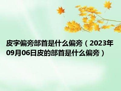 皮字偏旁部首是什么偏旁（2023年09月06日皮的部首是什么偏旁）