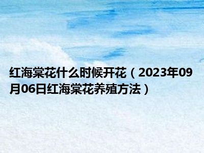 红海棠花什么时候开花（2023年09月06日红海棠花养殖方法）