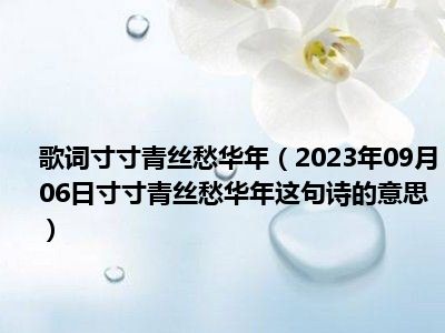 歌词寸寸青丝愁华年（2023年09月06日寸寸青丝愁华年这句诗的意思）