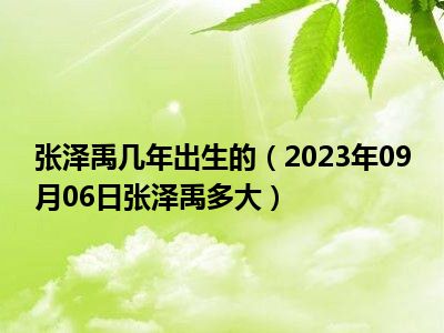 张泽禹几年出生的（2023年09月06日张泽禹多大）