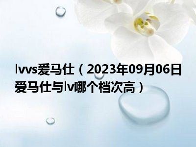 lvvs爱马仕（2023年09月06日爱马仕与lv哪个档次高）