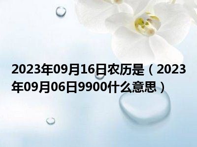 2023年09月16日农历是（2023年09月06日9900什么意思）