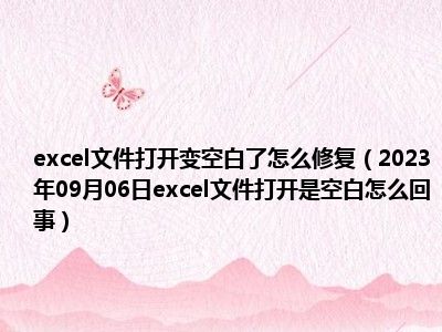 excel文件打开变空白了怎么修复（2023年09月06日excel文件打开是空白怎么回事）