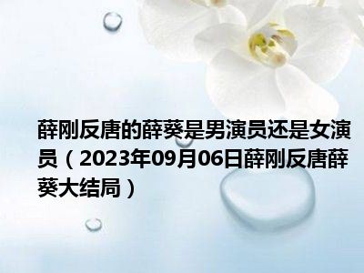 薛刚反唐的薛葵是男演员还是女演员（2023年09月06日薛刚反唐薛葵大结局）