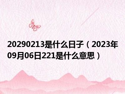 20290213是什么日子（2023年09月06日221是什么意思）