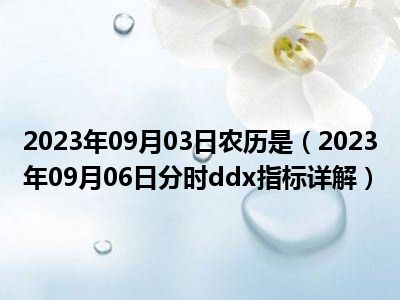 2023年09月03日农历是（2023年09月06日分时ddx指标详解）