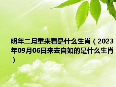 明年二月重来看是什么生肖（2023年09月06日来去自如的是什么生肖）