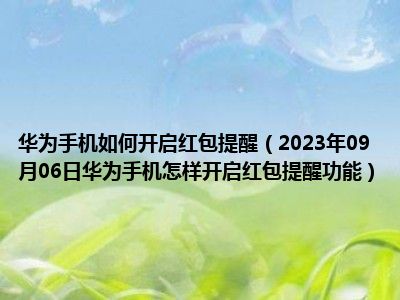 华为手机如何开启红包提醒（2023年09月06日华为手机怎样开启红包提醒功能）