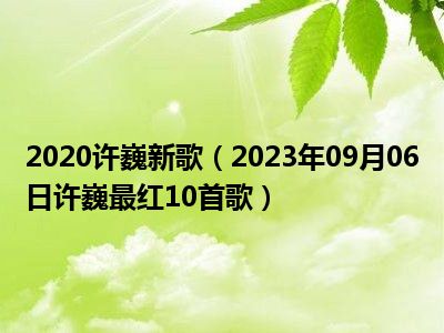 2020许巍新歌（2023年09月06日许巍最红10首歌）