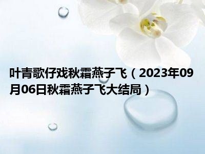 叶青歌仔戏秋霜燕子飞（2023年09月06日秋霜燕子飞大结局）