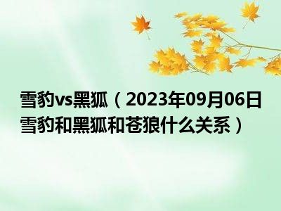 雪豹vs黑狐（2023年09月06日雪豹和黑狐和苍狼什么关系）