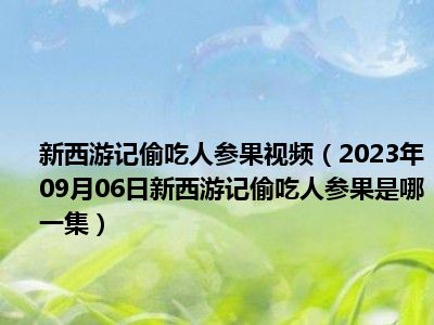 新西游记偷吃人参果视频（2023年09月06日新西游记偷吃人参果是哪一集）