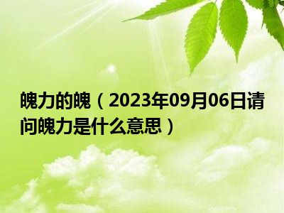 魄力的魄（2023年09月06日请问魄力是什么意思）