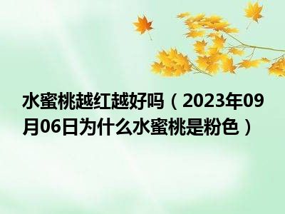 水蜜桃越红越好吗（2023年09月06日为什么水蜜桃是粉色）