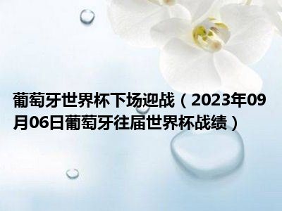 葡萄牙世界杯下场迎战（2023年09月06日葡萄牙往届世界杯战绩）