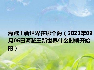 海贼王新世界在哪个海（2023年09月06日海贼王新世界什么时候开始的）