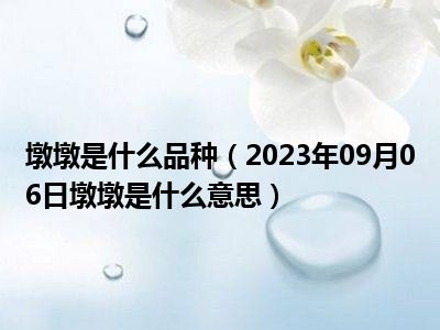 墩墩是什么品种（2023年09月06日墩墩是什么意思）